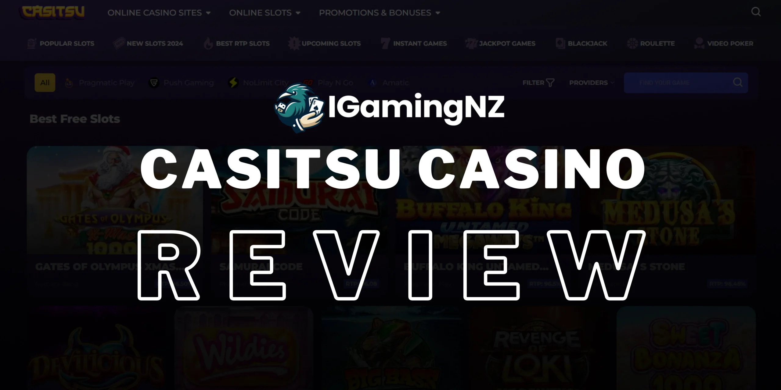 casitsu CASINO Review at Igaming NZ